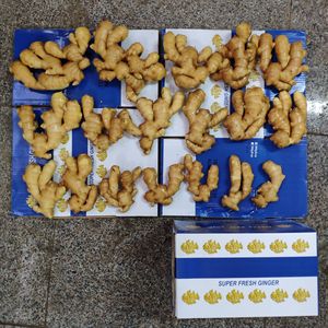 Wholesale Organic <strong>Fresh</strong> <strong>Ginger</strong> Price - Product Image 6