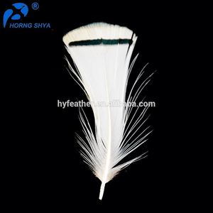 HP-25 Dame Amherst Pointes Blanches Plumage Naturel 1.5-3 pouces Blanc Paon Plumes De Faisan - Product Image 3