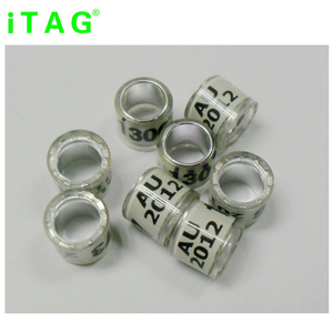 Vòng <span class=keywords><strong>Pigeon</strong></span> Với In Số & LOGO, Oem Cao Su <span class=keywords><strong>Pigeon</strong></span> Vòng Tag Để Truy Tìm & Quản Lý <span class=keywords><strong>Pigeon</strong></span> - Product Image 2