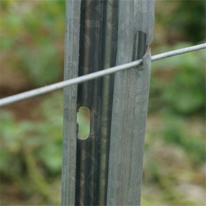 Nhà máy Mạ Kẽm H Lỗ Kim Loại Vineyard/Nho <span class=keywords><strong>Trellis</strong></span> Bài - Product Image 3