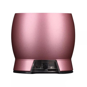 EWA P620 Kim Loại <span class=keywords><strong>Super</strong></span> Bass Âm Nhạc Trung Quốc <span class=keywords><strong>bluetooth</strong></span> loa không dây nhà sản xuất 10 W Loa Siêu Trầm - Product Image 2