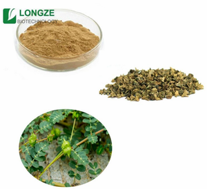 Fornitura di produzione fornitura di campioni gratuiti estratto di tribulus alatus in polvere estratto di tribulus terrestris - Product Image 4