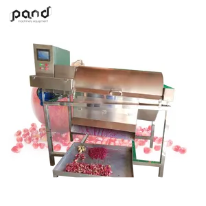 Automatic lemon/cactus/pomegranate seeds separator machine