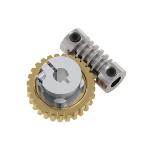 OEM Tùy Chỉnh 6 Mét Worm Gear