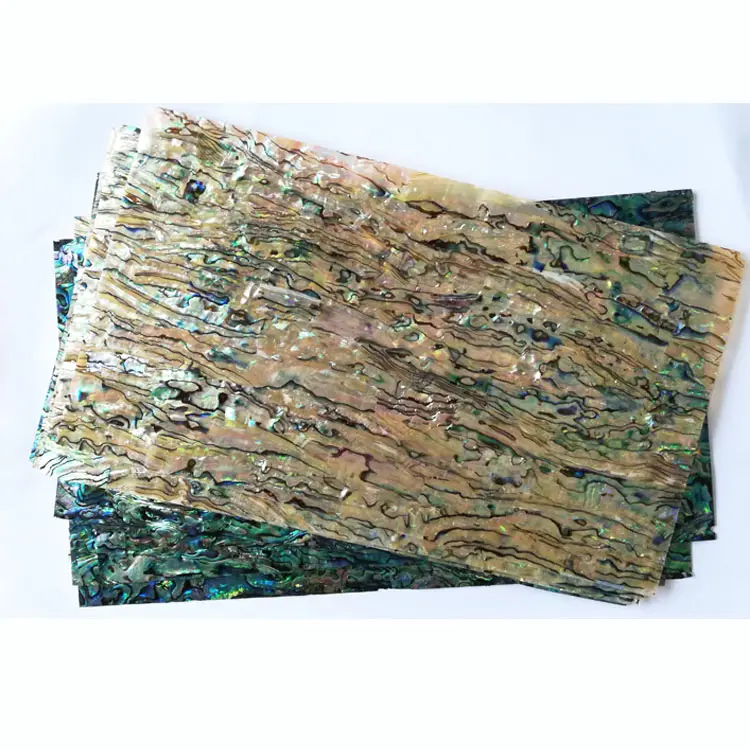 abalone shell paper ocb rolling papers