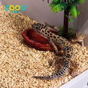 Acrílico Reptiles terrario contenedor anfibios las larvas de las arañas las hormigas los escorpiones lagartos camaleón - Product Image 4