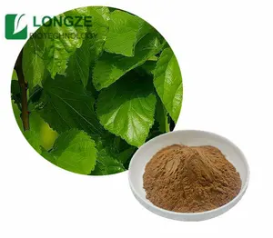 100% Pure Free sample supply mulberry leaves mulberry extract
