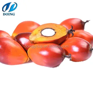 Yüksek Kaliteli Palmiye Meyve Palmiye Fındık Kırıcı Hamuru Digester Palmiye Yağı Makinesi Digester