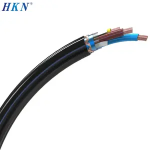 Screened Power Cable PVC Sheathed Electrical Cable Brands RVV Cable