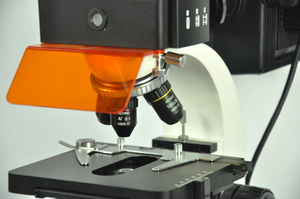 Gelsonlab HSM-F2002 1600X 의료 <span class=keywords><strong>EPI</strong></span> 형광 현미경 - Product Image 2