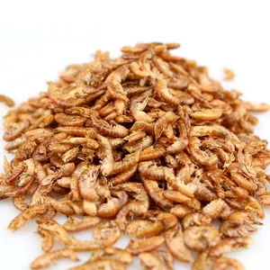 Nourriture pour Tortues <span class=keywords><strong>Gammarus</strong></span>, Crevettes Brésiliennes Séchées, Alimentation en Grains pour Tortues Chinoises - Product Image 1