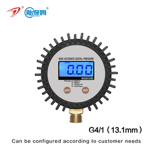 디지털 압력 게이지 압력계 압력계 220Psi 15Bar 1800Kpa 15kg/cm2 제조업체 DP-B04 - Product Image 2