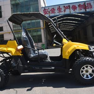 Stile più lungo 300cc go kart/300cc UTV/alta configurazione 2 posti - Product Image 3