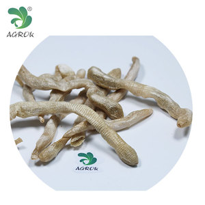 AGROK Sec <span class=keywords><strong>Bibi</strong></span> Ver Leurre De Pêche Du Poisson Appât D'arachide Ver - Product Image 1