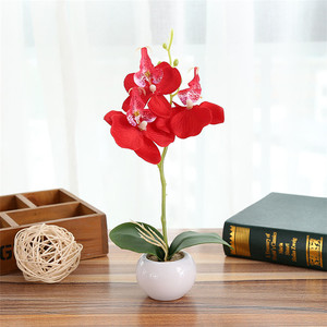 Artificial Phaleanopsis Acuerdo con florero decorativo florero flor de <span class=keywords><strong>la</strong></span> orquídea Bonsai <span class=keywords><strong>rocalla</strong></span> serie - Product Image 3