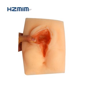 Mujer vulva sutura práctica de la episiotomía formación pad perineal incisión sutura - Product Image 5