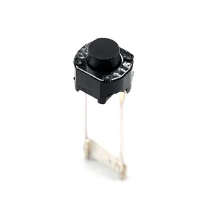 5.3*6 Mini 50mA 12VDC Tact Chuyển 2 Pin Dài Tactile Chuyển Đổi