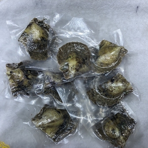 ไข่มุกอะโกย่าธรรมชาติขนาด 6-7 มม. ของคริสต์มาส AAA Jewelry พร้อมไข่มุกเอดิสันในตัว - Product Image 4