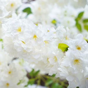 Cây <span class=keywords><strong>Sakura</strong></span> Ngoài Trời Thiết Kế Mới Chi Nhánh Nhựa Cây Hoa Anh Đào Nhân Tạo Trắng, Hồng, Đỏ, Tím, Vv Màu - Product Image 5