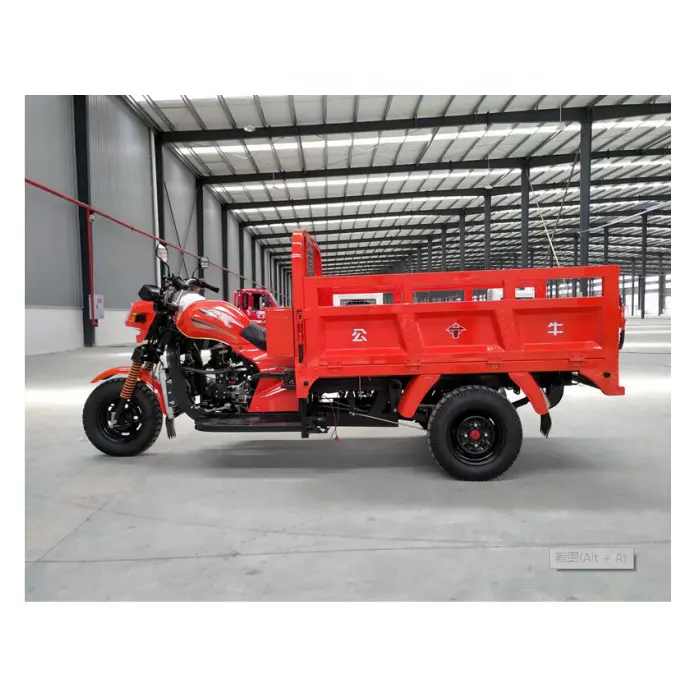 Chongqing Bull 200CC Motor 4 Takt Cargo Driewieler/Drie Wielen Motorfiets
