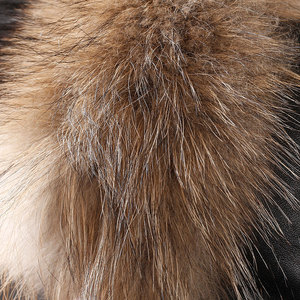 Chapeau d'hiver en peau de mouton de style aviateur de haute qualité pour femmes avec <span class=keywords><strong>bonnet</strong></span> d'oreille en fourrure de renard pour les scènes de fête - Product Image 4