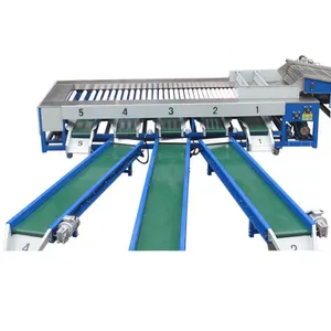 pomegranate sorting machine Fruit Sorter and Fruit Sorting Machine