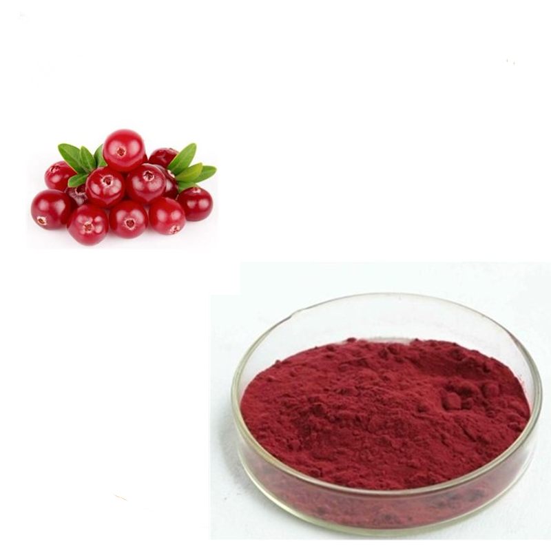 Натуральный экстракт виноградных косточек проантоцианидин сыпучий порошок 95% 98% Лучшая цена