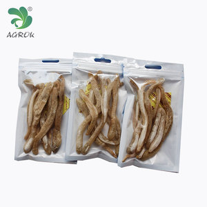 AGROK De Pêche Appât Vivant Sec <span class=keywords><strong>Bibi</strong></span> Ver Leurres De Pêche D'arachide Ver Avec Haute Qualité - Product Image 1