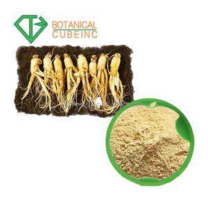 Proteger la salud mejorar la isquemia miocárdica Ginseng americano extracto - Product Image 6