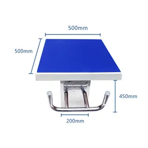 China Factory Price Swimming Pool &spa Accessories Standard One-step Starting Block