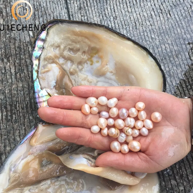 Perlas cultivadas al por mayor, mayas de perlas naturales de agua dulce con mucha perla