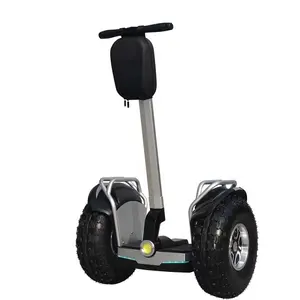 19 inch adult electric two wheel off-road scooter with handle from direct factory with best price on the market