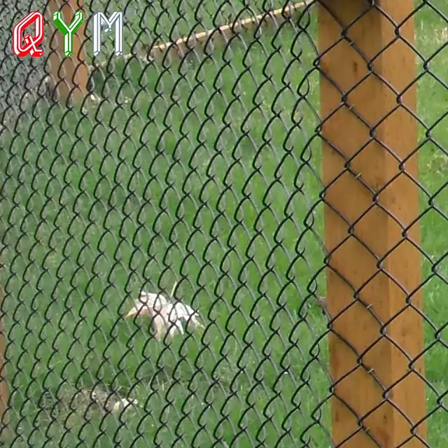 Common Used Barbed Edges Chain Link Fence for Sale