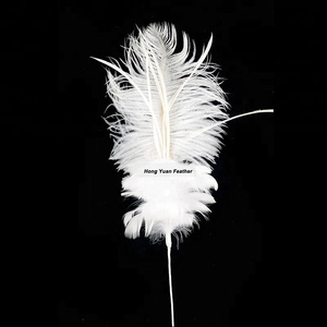 High quality <strong>Feative</strong> party decorative white real custom ostrich goose feather mother - Product Image 3