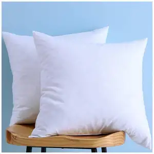 Ücretsiz örnek beyaz atmak yastık ekleme yastık iç kare