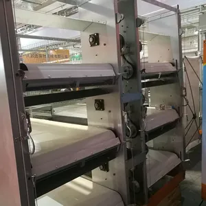 Chinese factory direct supply completely automatic laying hen/egg layer battery h type chicken cages system