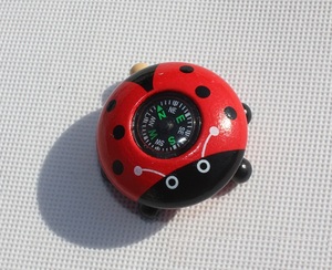 Nhỏ bằng gỗ Bọ Rùa La Bàn cho trẻ em - Product Image 3