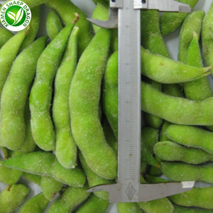 <span class=keywords><strong>Soja</strong></span> <span class=keywords><strong>Vert</strong></span> congelé Pour Les Acheteurs - Product Image 4