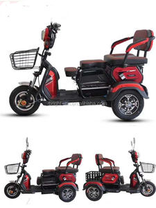 Scooter électrique à 3 roues certifié EN15195, 48 V, carrosserie ouverte, motorisé, 1000 W, vélo cargo à trois roues pour personnes handicapées, EEC - Product Image 4