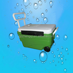 Ventas calientes caja hielera <span class=keywords><strong>de</strong></span> plástico Popsicle helado <span class=keywords><strong>compra</strong></span> (ZQ-G) - Product Image 1