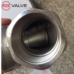 Nữ Chủ Đề Thép Không Gỉ Y Loại Mùa Xuân Nạp Kiểm Tra Van - Product Image 6