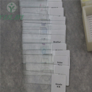 100% Mejor precio de fábrica Alta calidad 100 Artículo Zoología Insecto e histología Microscopio Preparado Diapositivas de recursos didácticos - Product Image 5