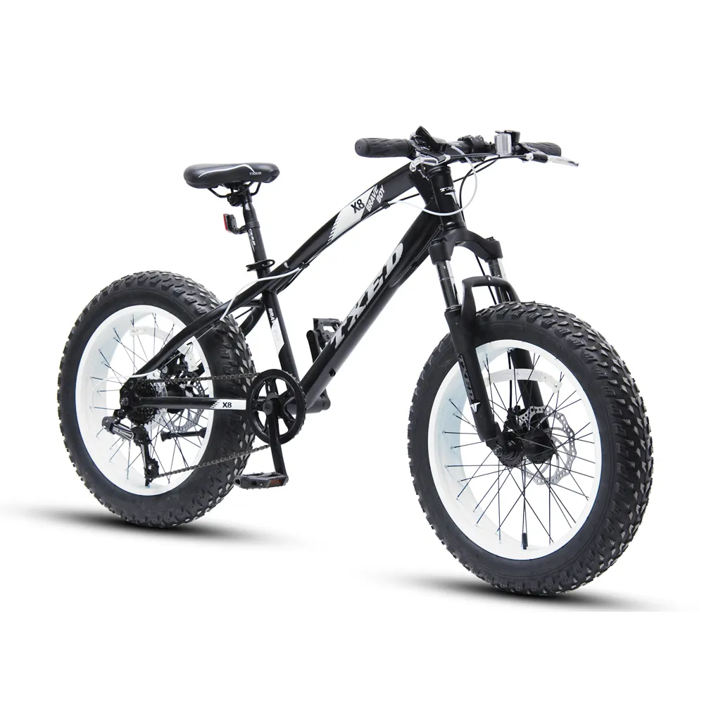 MTB now model mountain snow Bike With Fat Tire