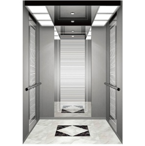 <span class=keywords><strong>320KG</strong></span> pemasok <span class=keywords><strong>Lift</strong></span> penumpang <span class=keywords><strong>Lift</strong></span> <span class=keywords><strong>Lift</strong></span> rumah dengan Cos rendah - Product Image 1