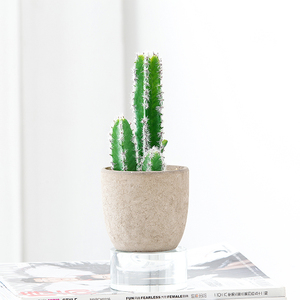 Toque Real Alta Calidad pulpa maceta plantas suculentas Artificial <span class=keywords><strong>Cactus</strong></span> <span class=keywords><strong>bola</strong></span> - Product Image 4