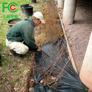 Tapete de ervas daninhas orgânico, mulch de plástico agrícola, barreira reciclável para tapete de controle
