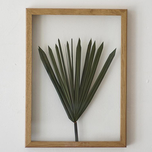 Natural Wood Floating <strong>Frame</strong> Static <strong>Album</strong> Pressed Flower <strong>Frame</strong>, Herbarium Art by MyBotanica - Product Image 4