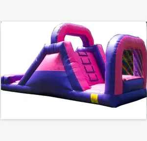 Newest purple inflatable water slide