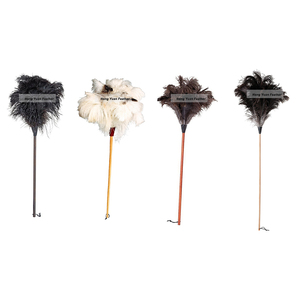Plumeau D'autruche avec Manche En Bois Dur Parfait pour les Petits Accessoires Informatiques, Voitures, Meubles - Product Image 1