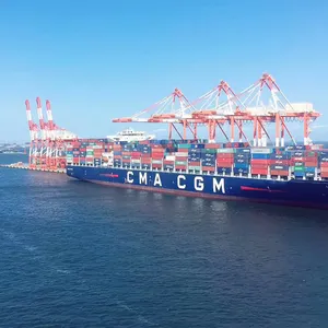 Professinal FCL/LCL de Qingdao oceano transitário transporte marítimo da China para Dublin, na Irlanda e em todo o mundo